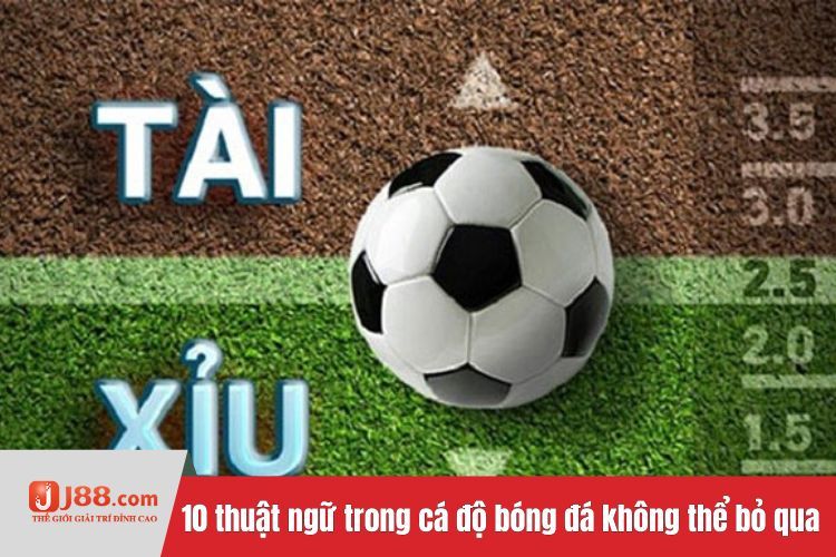 10 thuật ngữ trong cá độ bóng đá không thể bỏ qua