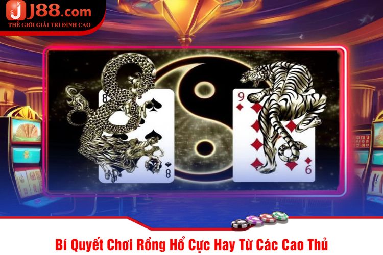 Bí Quyết Chơi Rồng Hổ Cực Hay Từ Các Cao Thủ