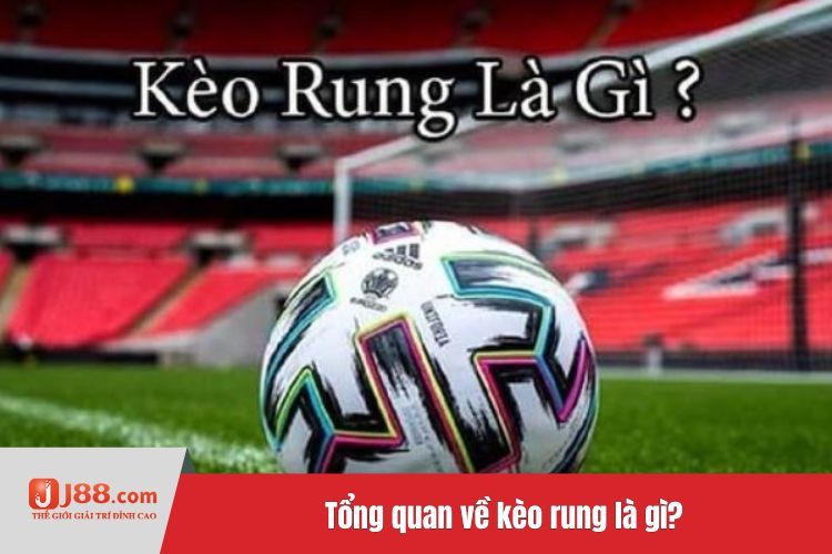 Tổng quan về kèo rung là gì?